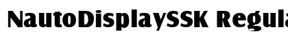 NautoDisplaySSK Regular preview