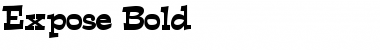 Download Expose Font