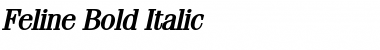 Download Feline Bold Italic Font