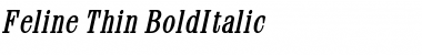 Download Feline Thin BoldItalic Font