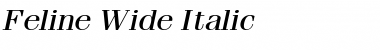 Download Feline Wide Italic Font