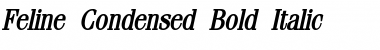 Download Feline-Condensed Bold Italic Font