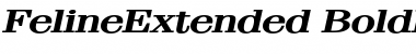 Download FelineExtended BoldItalic Font