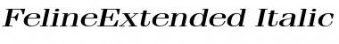 Download FelineExtended Font