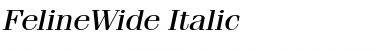Download FelineWide Italic Font