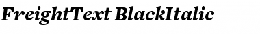 Download FreightText BlackItalic Font