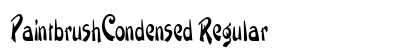PaintbrushCondensed Regular preview