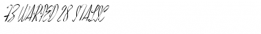 Download FZ WARPED 28 ITALIC Font