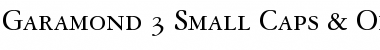 Download Garamond 3 SC Font