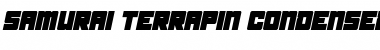 Download Samurai Terrapin Condensed Italic Font