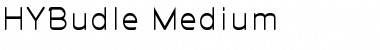Download HYBudle-Medium Regular Font