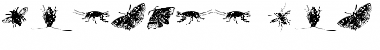 Download insects one Font Download insects one Font