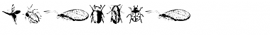 Download Insects Font Download Insects Font