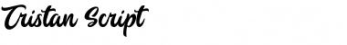 Download Tristan Script Font Download Tristan Script Font