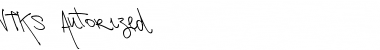 Download Vtks Autorized 2 Font