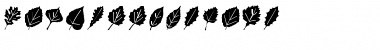 Download LeafAssortment Font