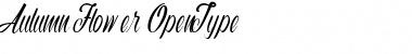 Download Autumn Flower Font