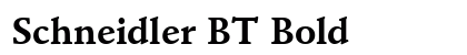 Schneidler BT Bold Preview