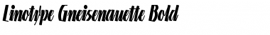 Download LTGneisenauette Light Bold Font Title Preview