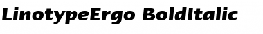 Download LTErgo Medium BoldItalic Font Title Preview
