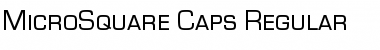 Download MicroSquare-Caps Regular Font
