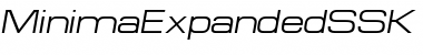 Download MinimaExpandedSSK Italic Font