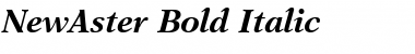 Download NewAster BoldItalic Font
