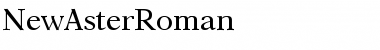 Download NewAsterRoman Roman Font