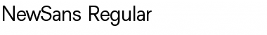 Download NewSans Regular Font