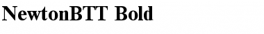 Download NewtonBTT Bold Font