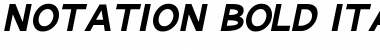 Download Notation Bold Italic JL Regular Font
