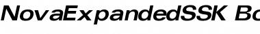 Download NovaExpandedSSK Bold Italic Font