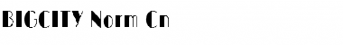 Download BIGCITY-Norm-Cn Regular Font