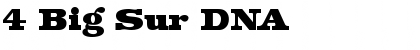 Download 4 Big Sur DNA Font
