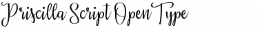 Download Priscilla Script Font