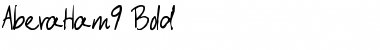 Download AberaHam9 Font Download AberaHam9 Font