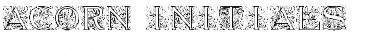 Download Acorn Initials Font Download Acorn Initials Font