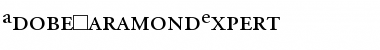 Download AdobeGaramondExpert Font