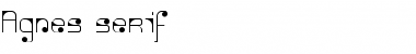 Download Agnes serif Font