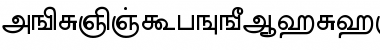 Download AkrutiTmlBarathi Font