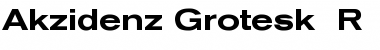 Download Akzidenz-Grotesk Extended BQ Font