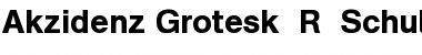 Download AG Schulbuch Two BQ Font Download AG Schulbuch Two BQ Font