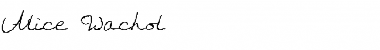 Download Alice Wachol Font Download Alice Wachol Font