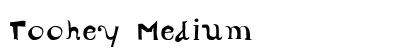 Toohey Medium preview