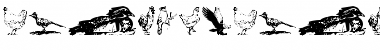Download AnimalsAnimalsBirds Font