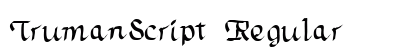 TrumanScript Regular preview
