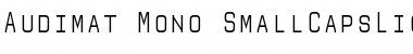 Download Audimat Mono Font