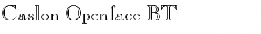 Download CaslonOpnface BT Regular Font