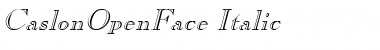Download CaslonOpenFace Italic Font