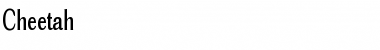 Download Cheetah Font